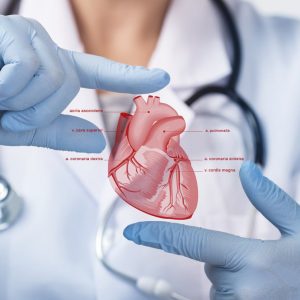 cardiologist in Milford, PA